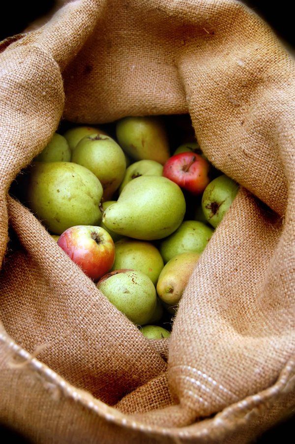 Quels sont les secrets pour préparer des collations saines pour des sorties en famille ?